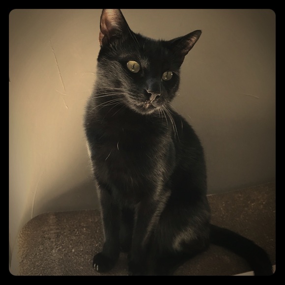 Meet your Posher, Lynne - Picture 1 of 1